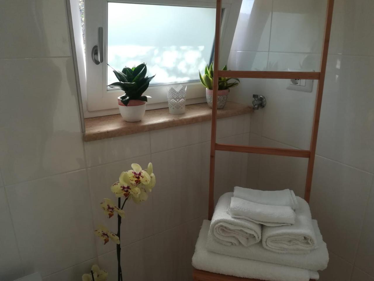 B&B Il Sogno Santa Maria di Castellabate Luaran gambar