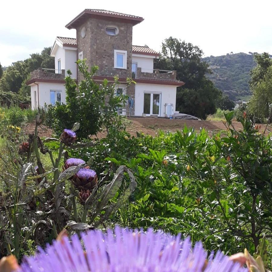 B&B Il Sogno Santa Maria di Castellabate Luaran gambar