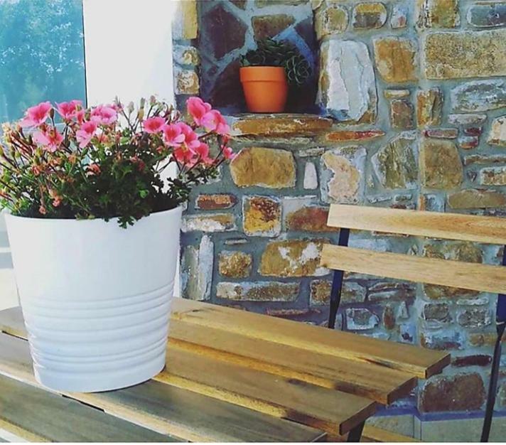 B&B Il Sogno Santa Maria di Castellabate Luaran gambar