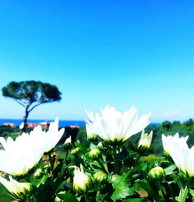 B&B Il Sogno Santa Maria di Castellabate Luaran gambar